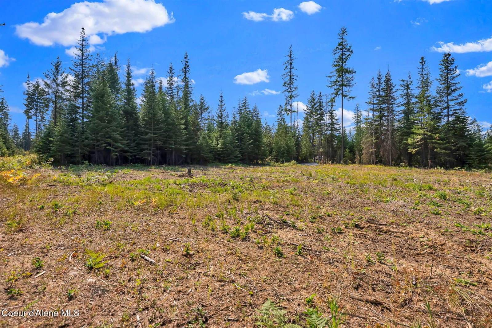 L13B1 Leonard Loop, Athol, ID 83801