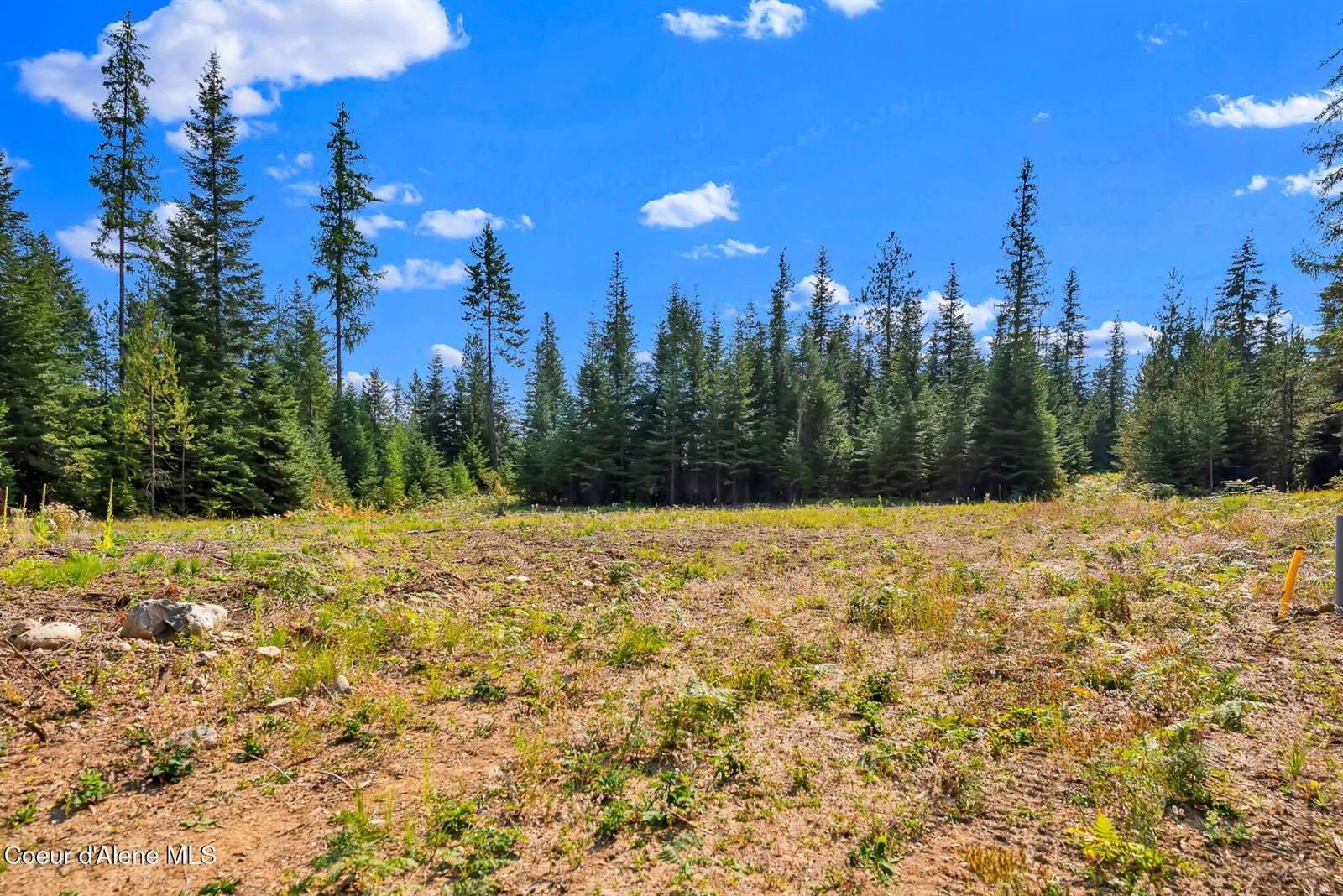 L13B1 Leonard Loop, Athol, ID 83801