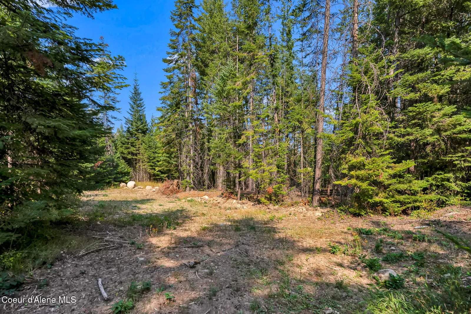 L13B1 Leonard Loop, Athol, ID 83801