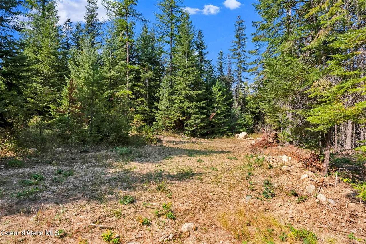 L13B1 Leonard Loop, Athol, ID 83801