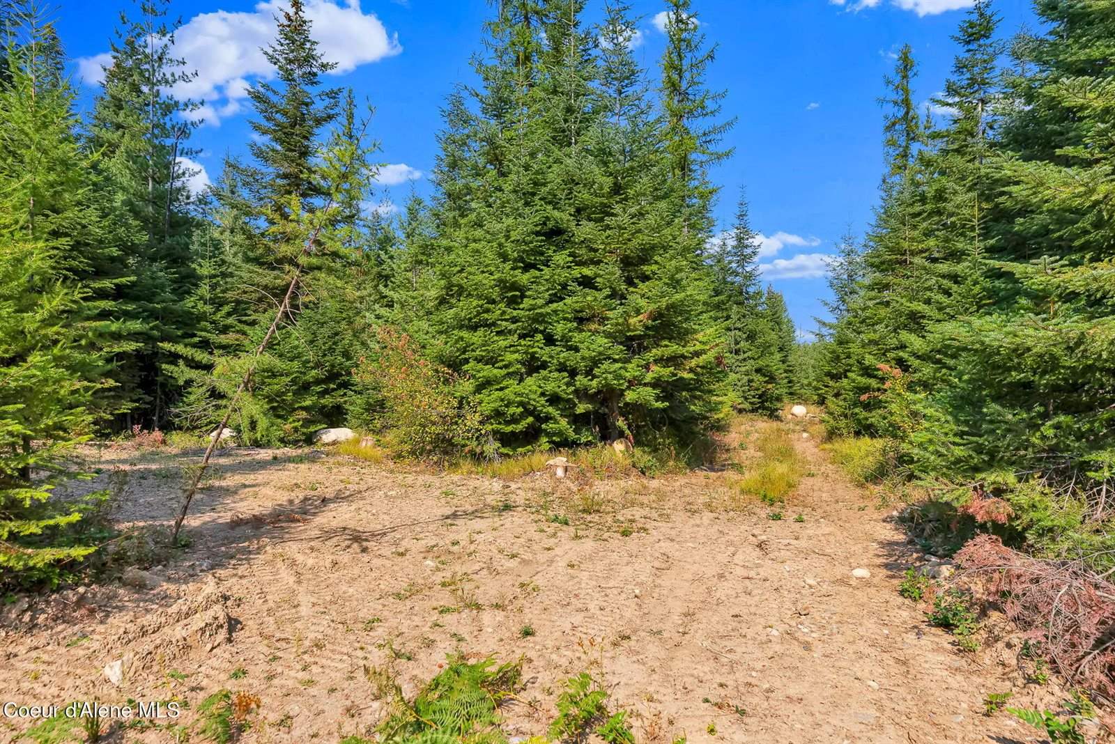 L13B1 Leonard Loop, Athol, ID 83801