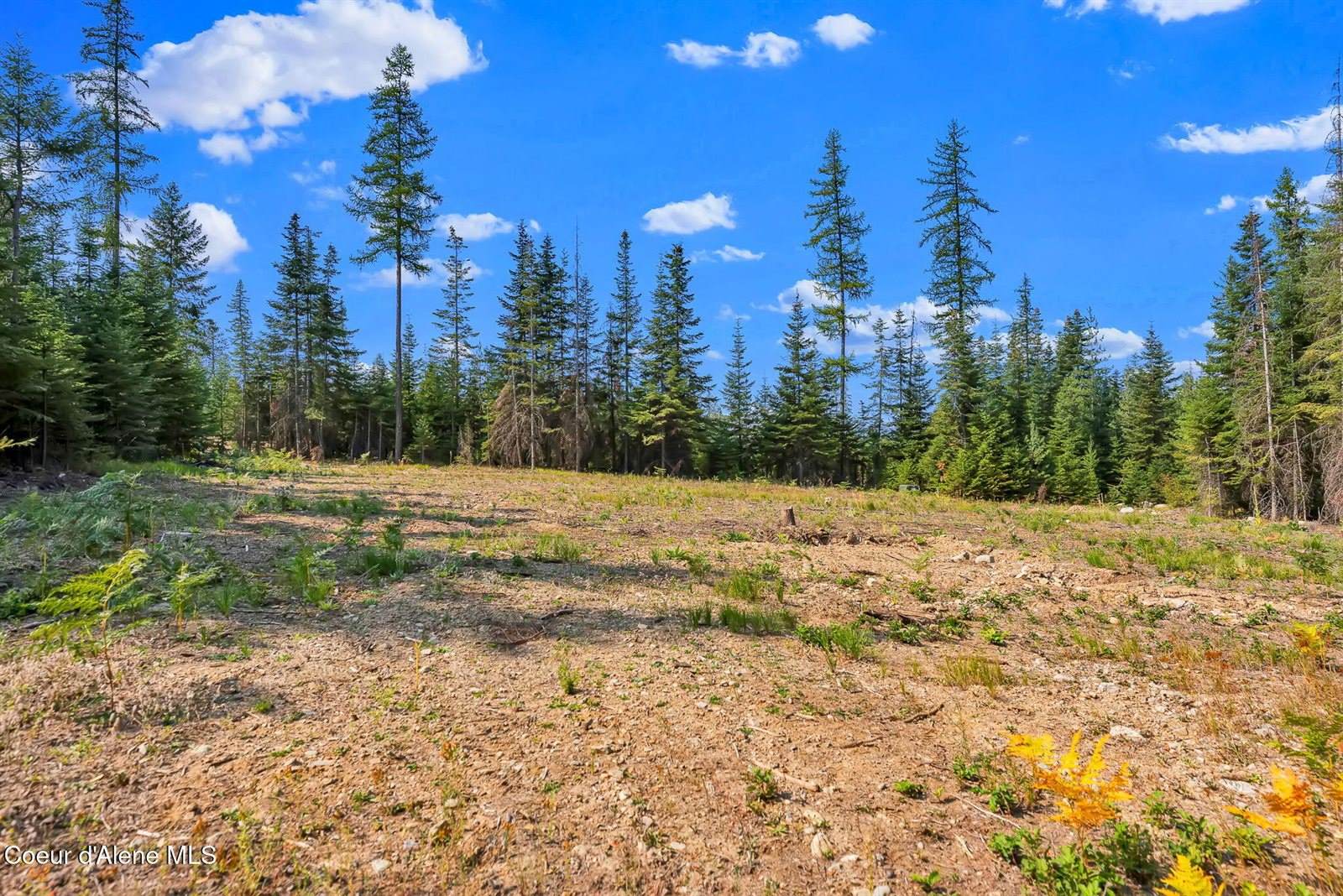 L13B1 Leonard Loop, Athol, ID 83801