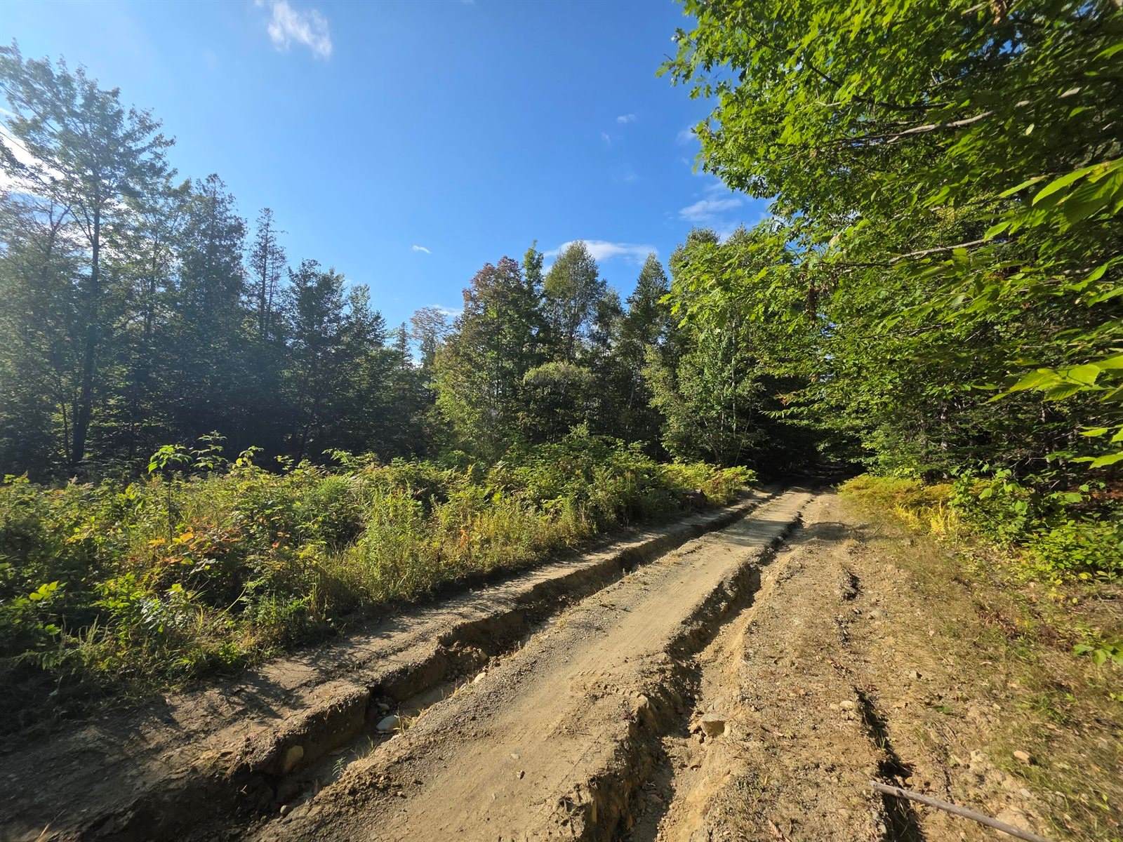 TBD Woodcock Road, Saint Albans, ME 04971