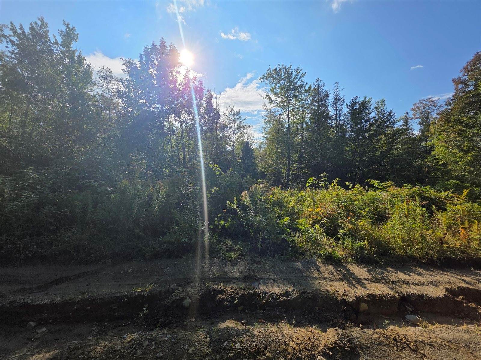 TBD Woodcock Road, Saint Albans, ME 04971