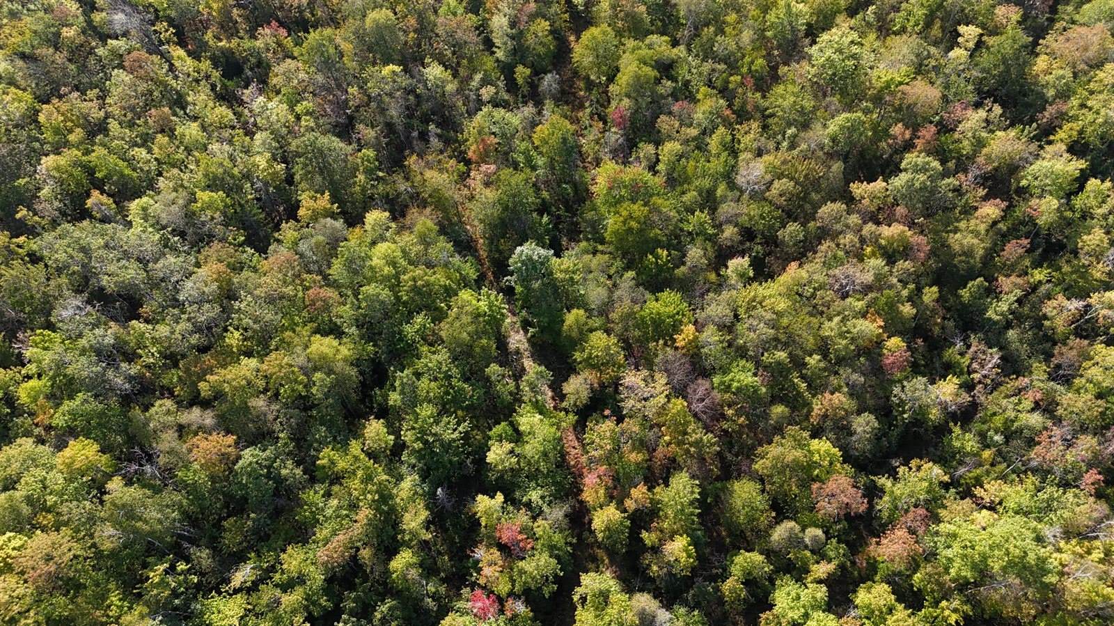 TBD Woodcock Road, Saint Albans, ME 04971