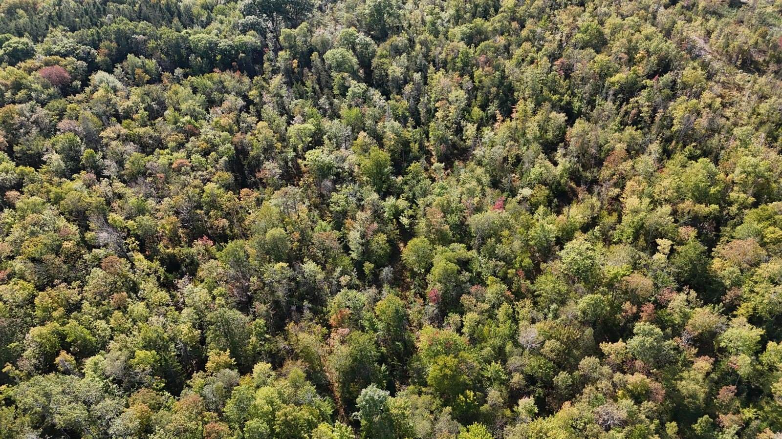 TBD Woodcock Road, Saint Albans, ME 04971