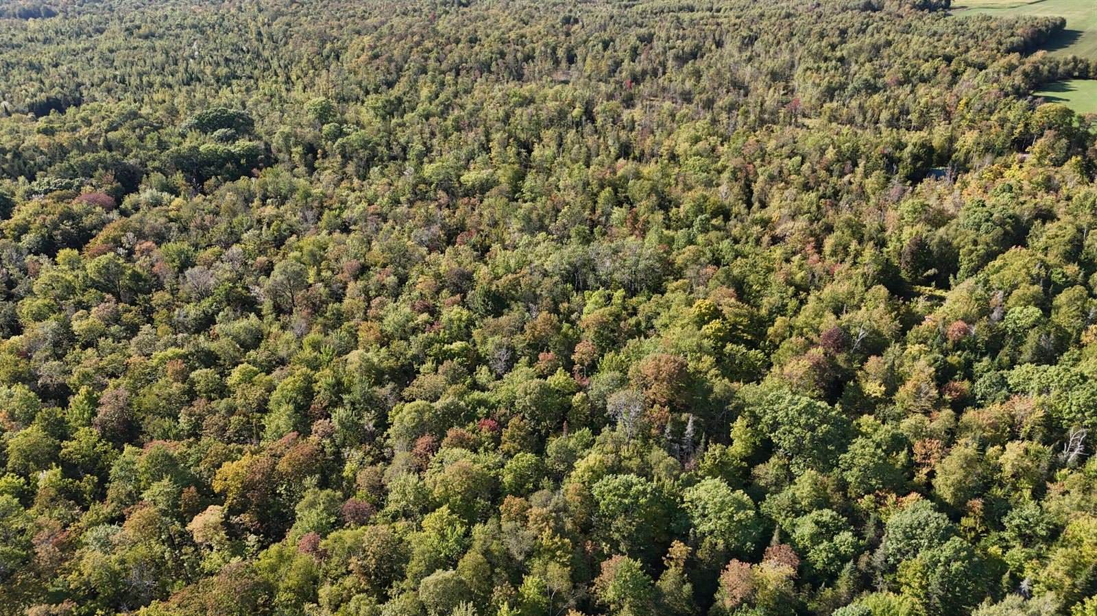 TBD Woodcock Road, Saint Albans, ME 04971