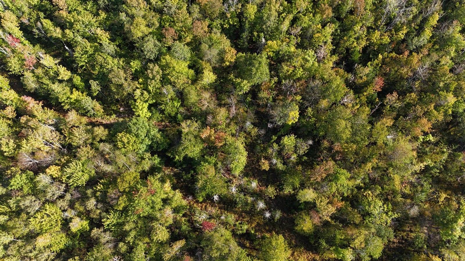 TBD Woodcock Road, Saint Albans, ME 04971