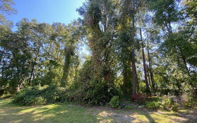 TBD Sister's Welcome Rd, Lake City, FL 32025