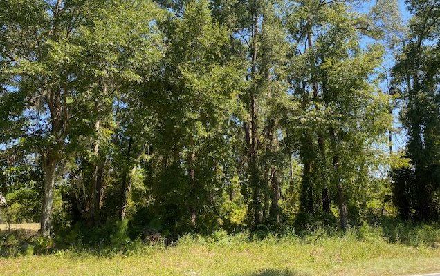 TBD Sister's Welcome Rd, Lake City, FL 32025