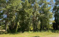 TBD Sister's Welcome Rd, Lake City, FL 32025