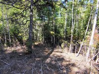 0 US Route 1, Milbridge, ME 04658