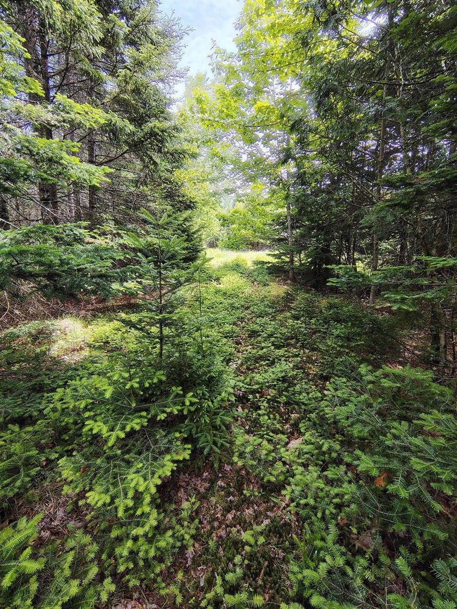 916 U.S. Rte 1, Jonesboro, ME 04648