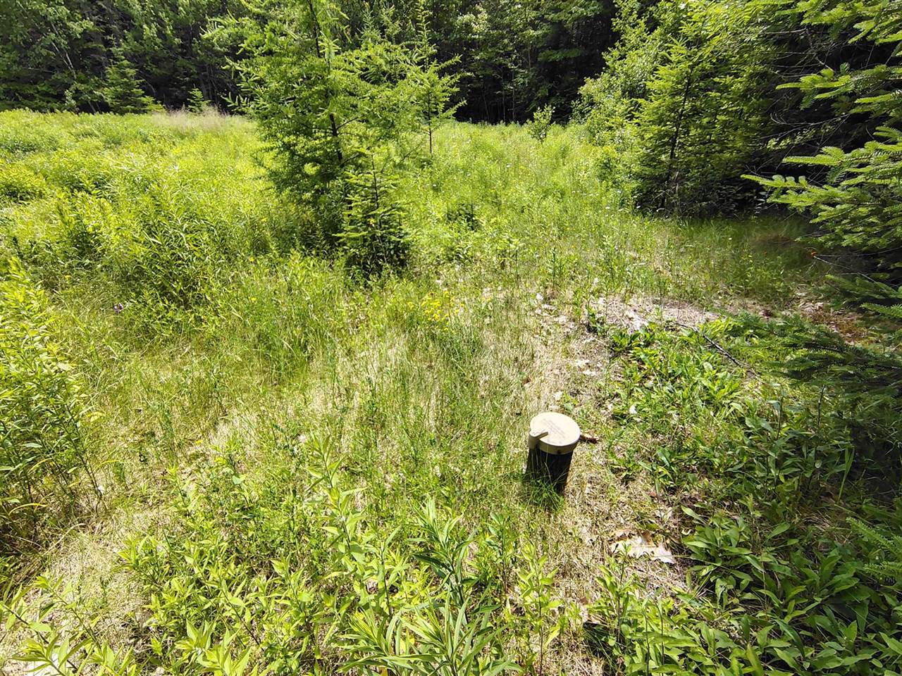 916 U.S. Rte 1, Jonesboro, ME 04648