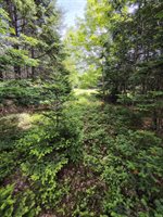 916 U.S. Rte 1, Jonesboro, ME 04648