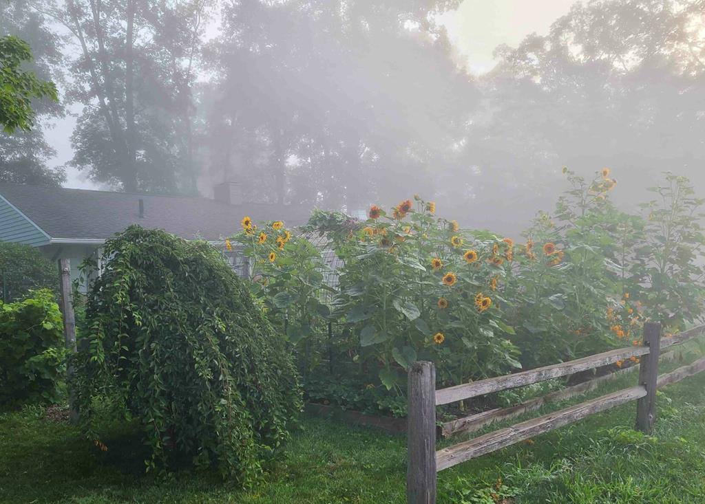 1136 Overlook Dr, Ashland, OH 44805