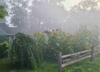 1136 Overlook Dr, Ashland, OH 44805