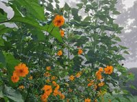 1136 Overlook Dr, Ashland, OH 44805