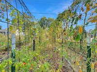 1136 Overlook Dr, Ashland, OH 44805