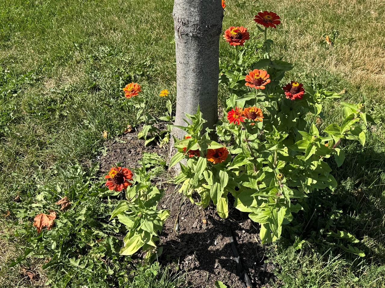 61 Howe Road, Wade, ME 04786