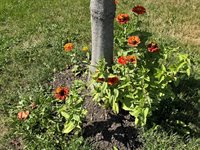 61 Howe Road, Wade, ME 04786