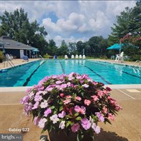 8525 Meadows Road, Warrenton, VA 20186