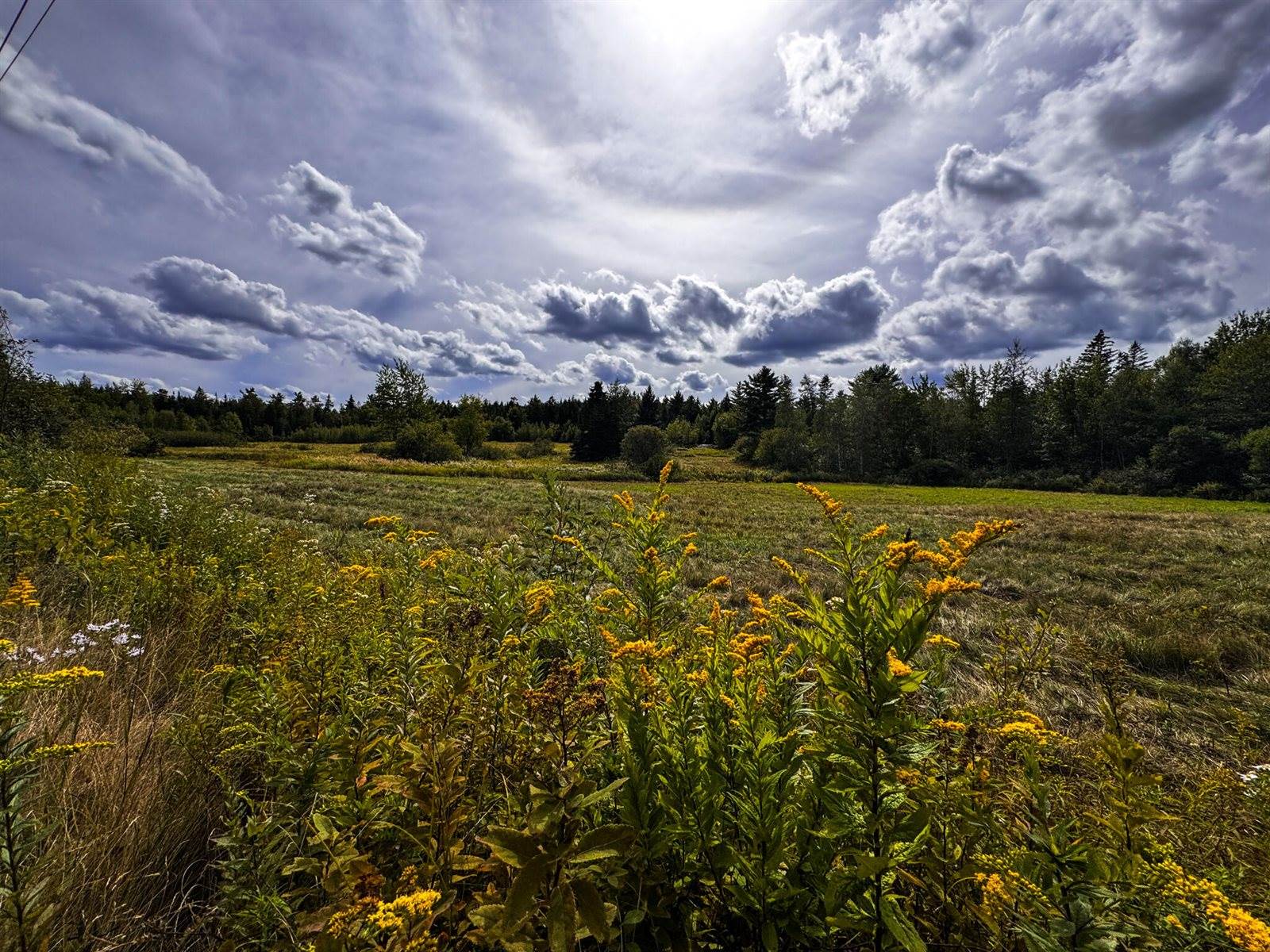 219 Smith Ridge Road, Dennysville, ME 04628