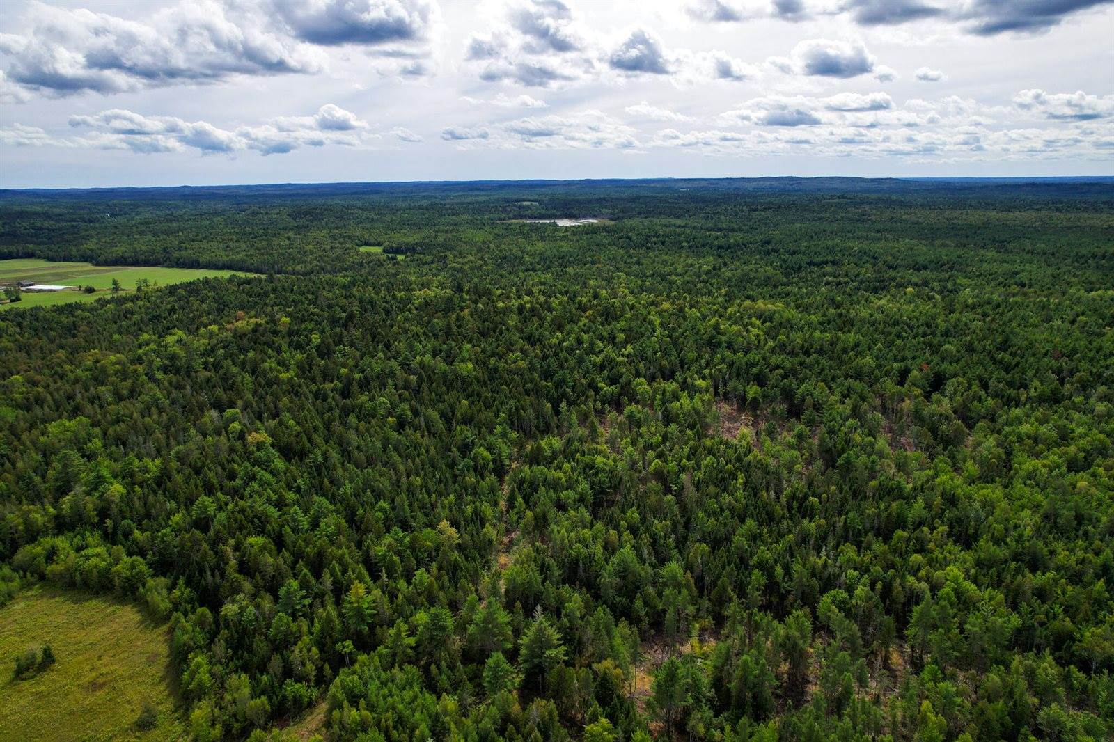 219 Smith Ridge Road, Dennysville, ME 04628