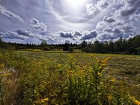 219 Smith Ridge Road, Dennysville, ME 04628