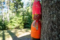 45 Missy Way, Steuben, ME 04680