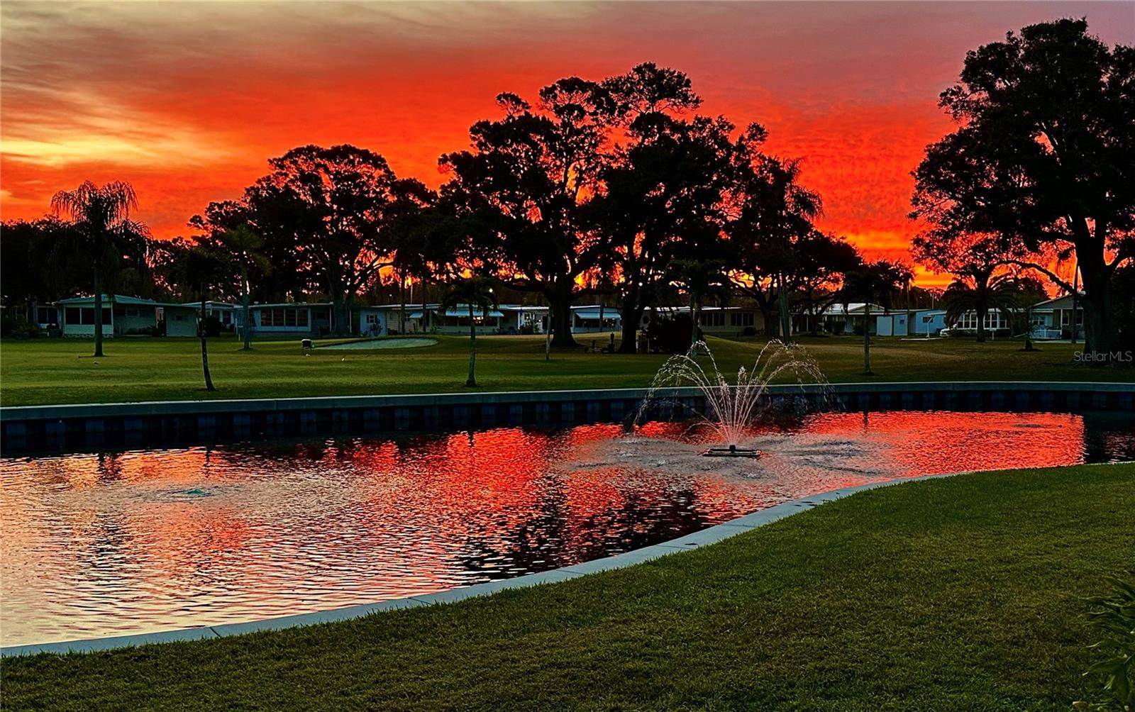 1100 Belcher Road South, #403, Largo, FL 33771