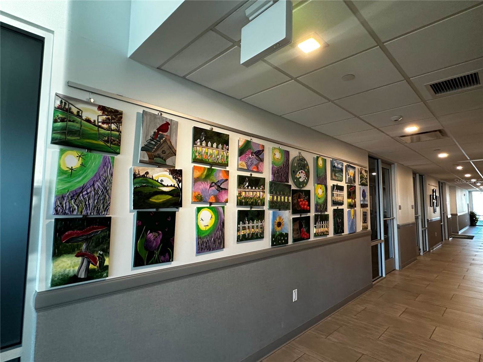 1100 Belcher Road South, #403, Largo, FL 33771