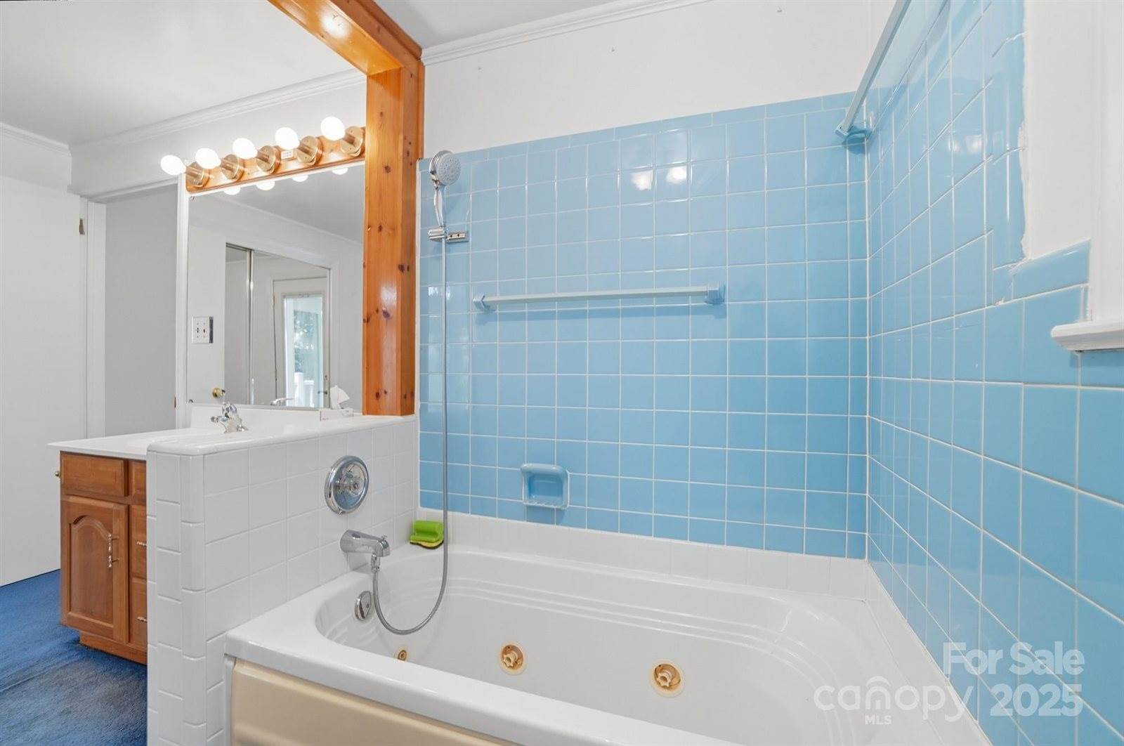 955 Hickory Nut Street, Charlotte, NC 28205