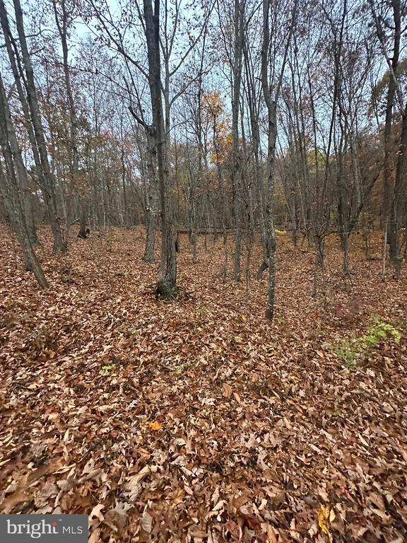 Lot 370 Crosswoods, Fort Valley, VA 22652