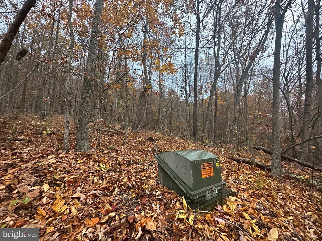 Lot 370 Crosswoods, Fort Valley, VA 22652