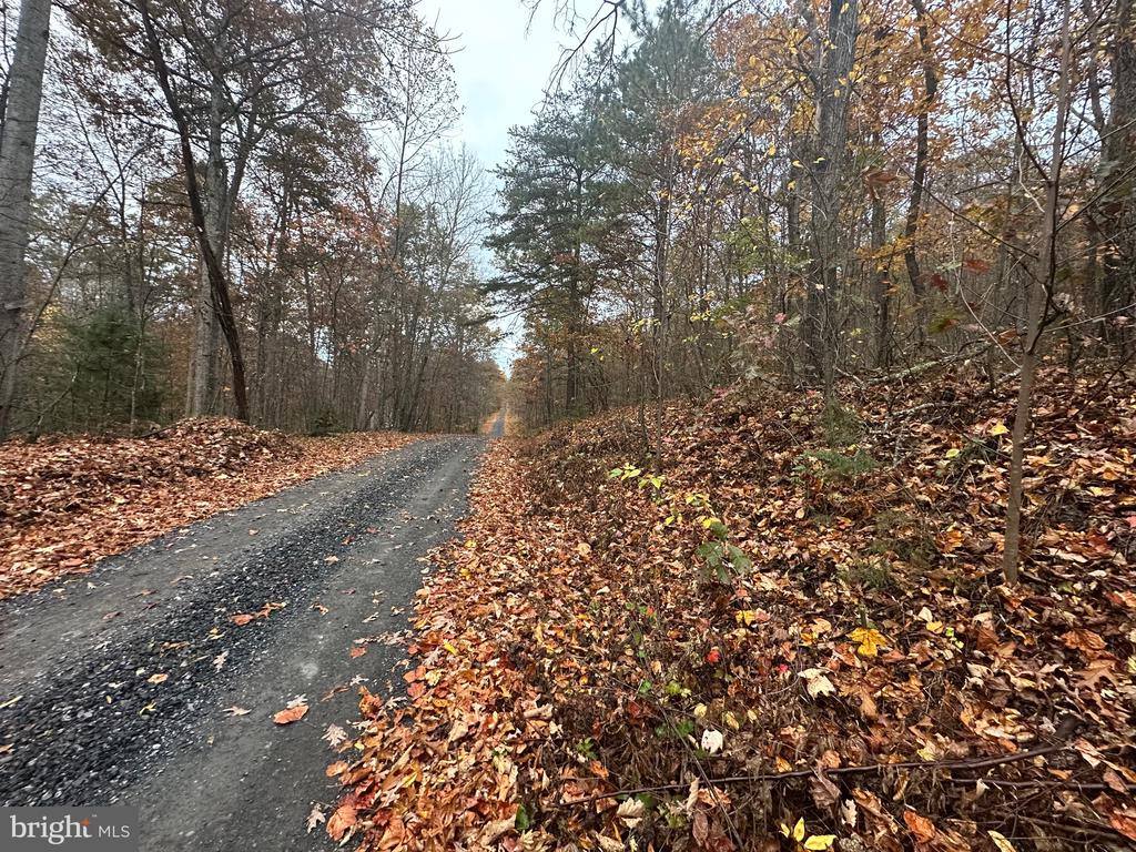 Lot 370 Crosswoods, Fort Valley, VA 22652