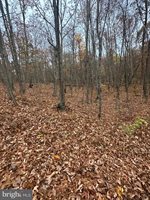 Lot 370 Crosswoods, Fort Valley, VA 22652