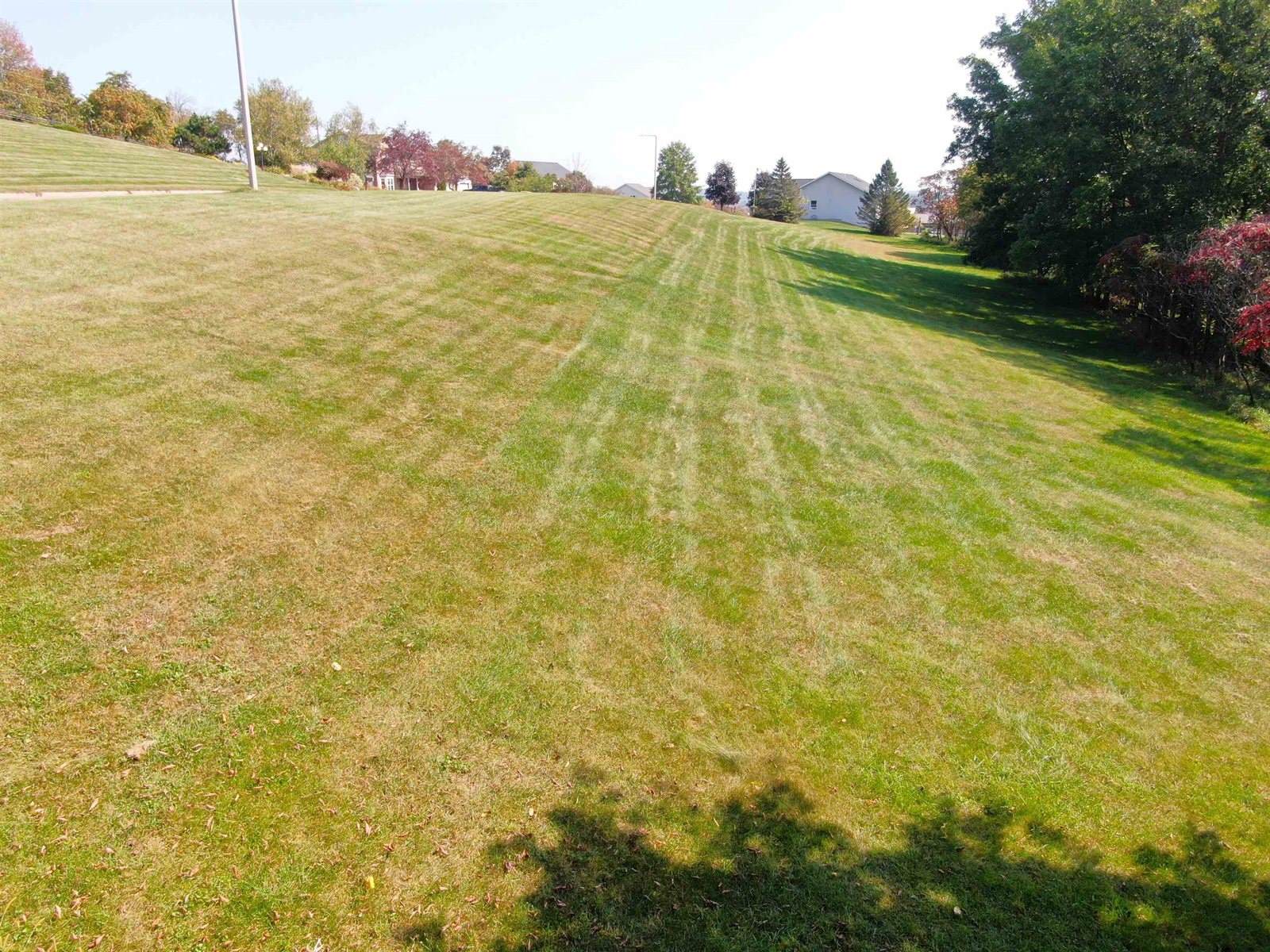 Lot 1 Deer Ridge, Hillsboro, WI 54634