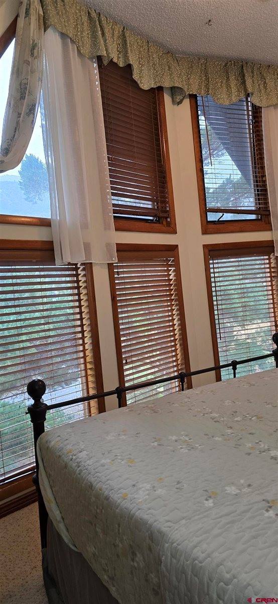 605 County Road 23, Ridgway, CO 81432