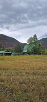 605 County Road 23, Ridgway, CO 81432