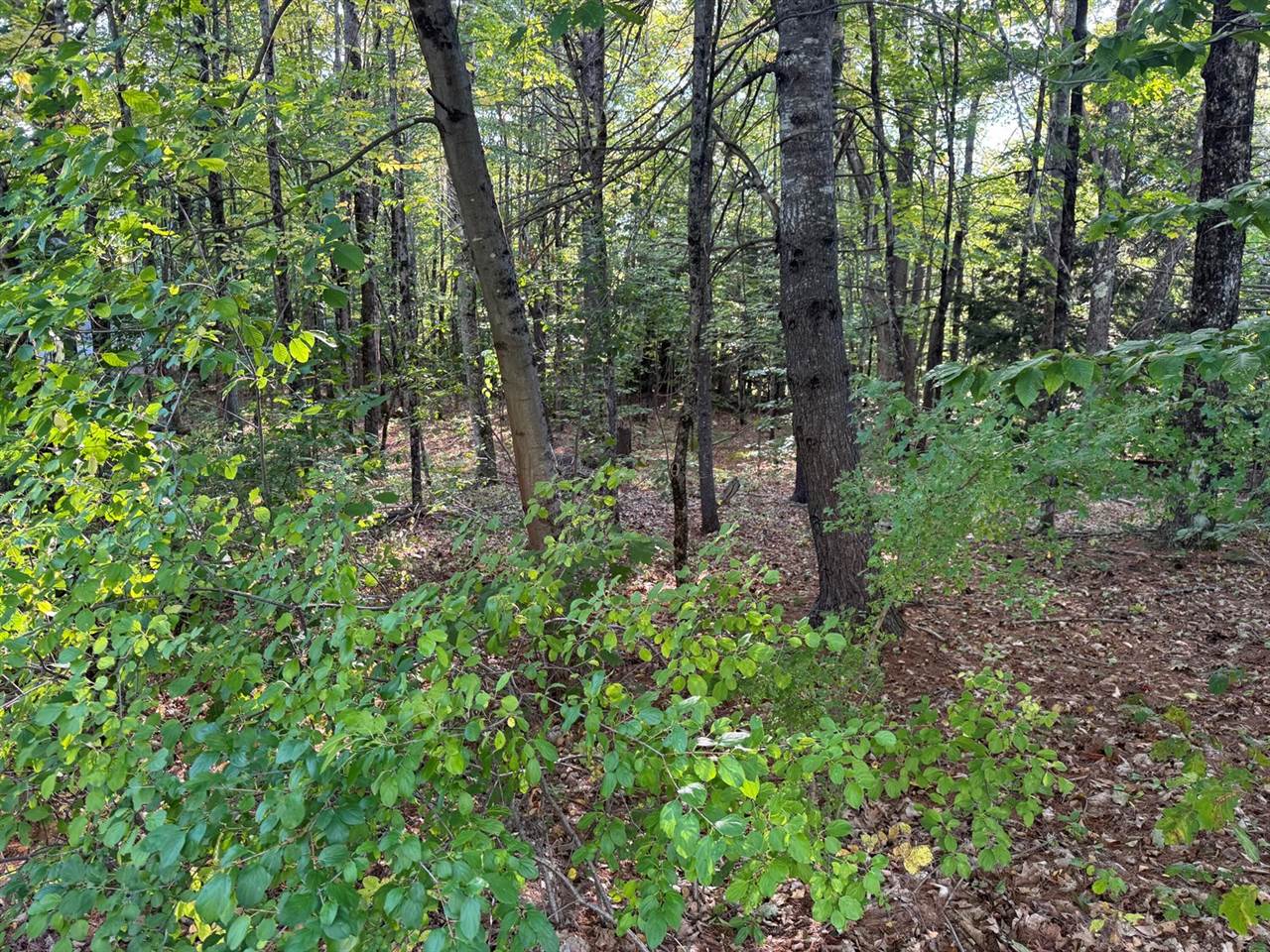 Lot 6 Meadowood Drive, Hallowell, ME 04347