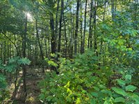 Lot 6 Meadowood Drive, Hallowell, ME 04347