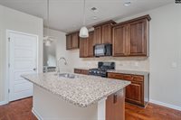 223 Bickley View, Chapin, SC 29036