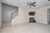 223 Bickley View, Chapin, SC 29036