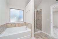 223 Bickley View, Chapin, SC 29036