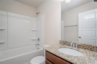 223 Bickley View, Chapin, SC 29036