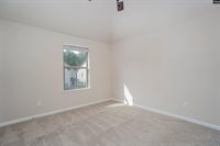 223 Bickley View, Chapin, SC 29036