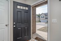 223 Bickley View, Chapin, SC 29036