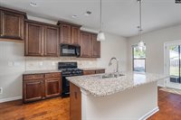 223 Bickley View, Chapin, SC 29036