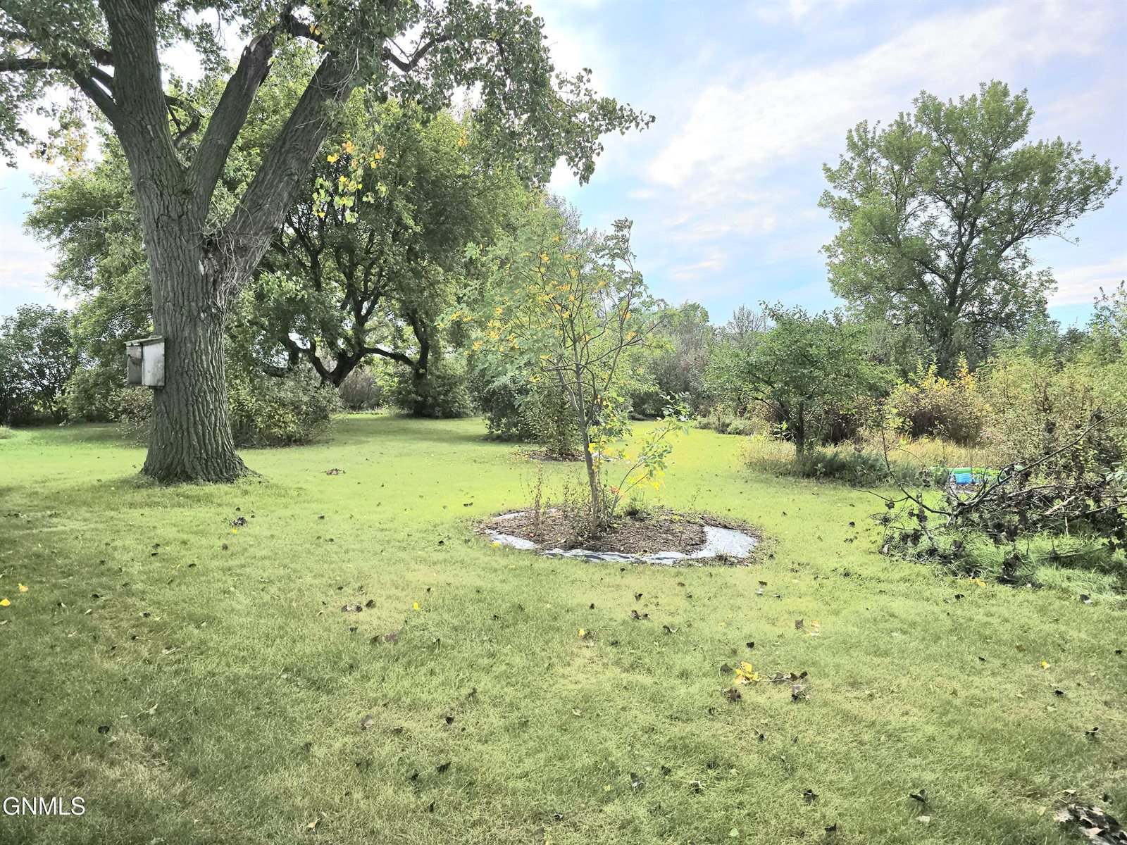 601 B Avenue East, Napoleon, ND 58561